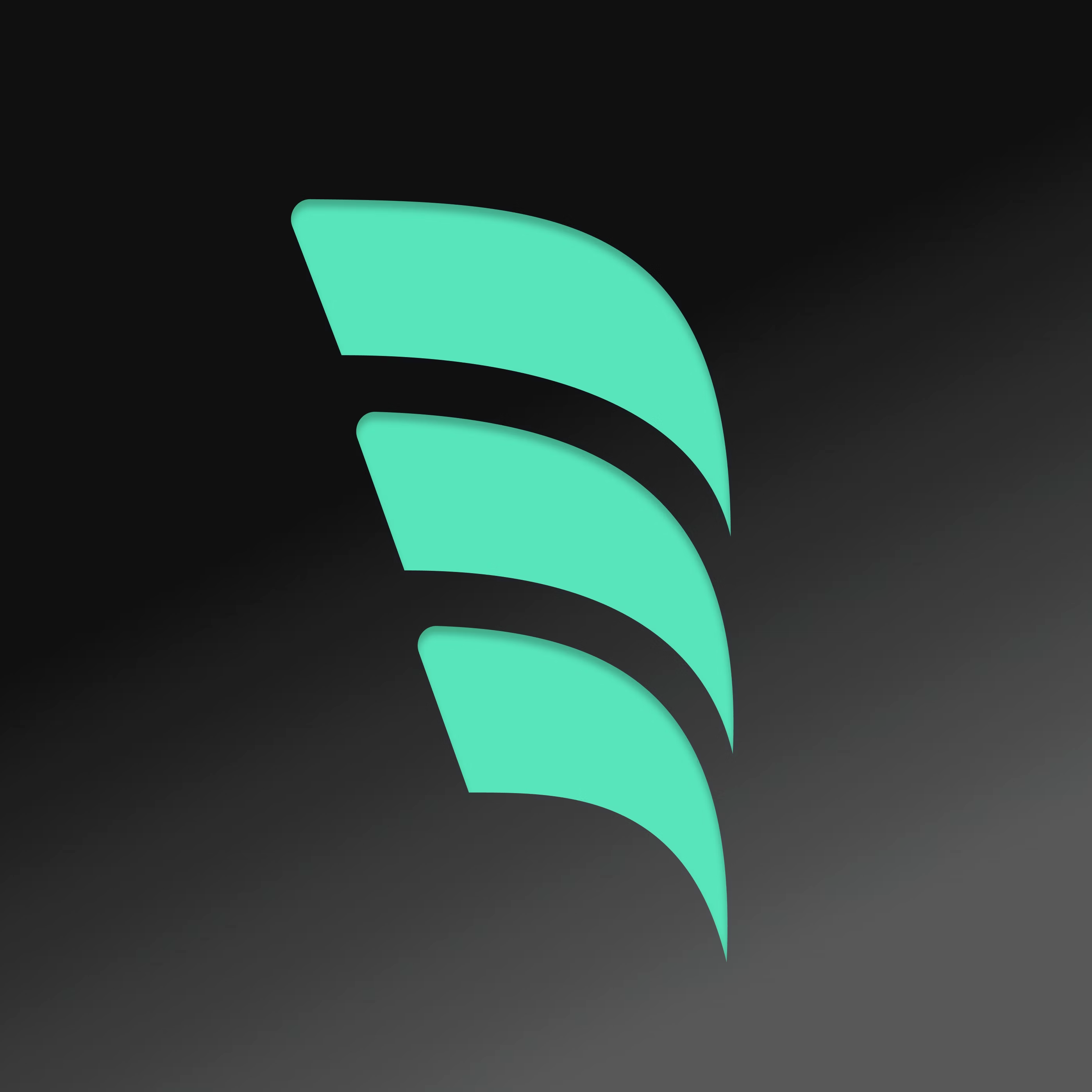 Windsurf icon